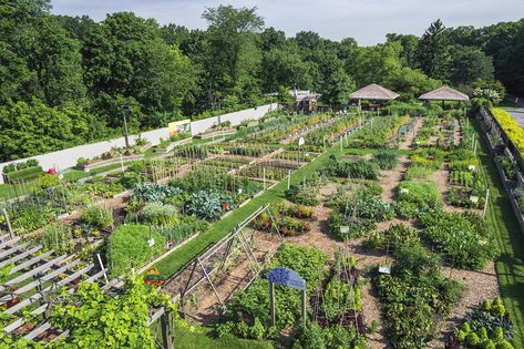 Dream Garden Vegetable, Art Creative Ideas, Eco Garden, New York Botanical Garden, Organic Pest Control, Vegetable Farming, American Garden, Farm Layout, Backyard Flowers