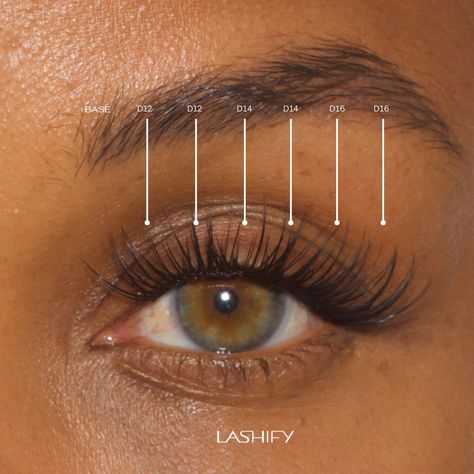 Lashify Lash Map, Lash Maps, Lash Map, Fake Lashes, Lashes, Map, Makeup, Make Up