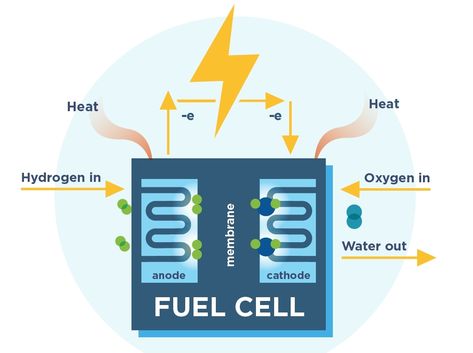 How a basic fuel cell works Cell Energy, Hydrogen Gas, Green Chemistry, Hydrogen Fuel Cell, Matter Science, Hydrogen Fuel, Water Molecule, Physics And Mathematics, Diagram Design