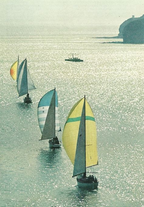 maisfica: Yachts run out of San Diego Bay past Point Loma,... | My Name is Andy | Bloglovin’ Sailing Aesthetic, Vintage National Geographic, Vintage Sailing, San Diego Bay, Point Loma, Run Out, Sailboats, Yachts, National Geographic