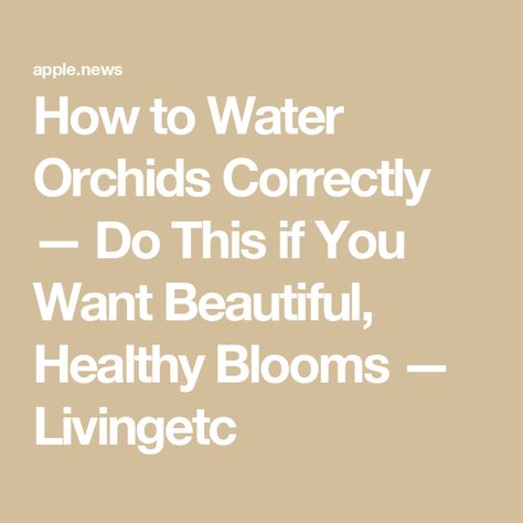 How to Water Orchids Correctly — Do This if You Want Beautiful, Healthy Blooms — Livingetc How To Water Orchids, Water Orchids, John Dye, Orchids In Water, Small Watering Can, Orchid Images, Fall Vegetables, Phalaenopsis Orchid, Orchid Plants