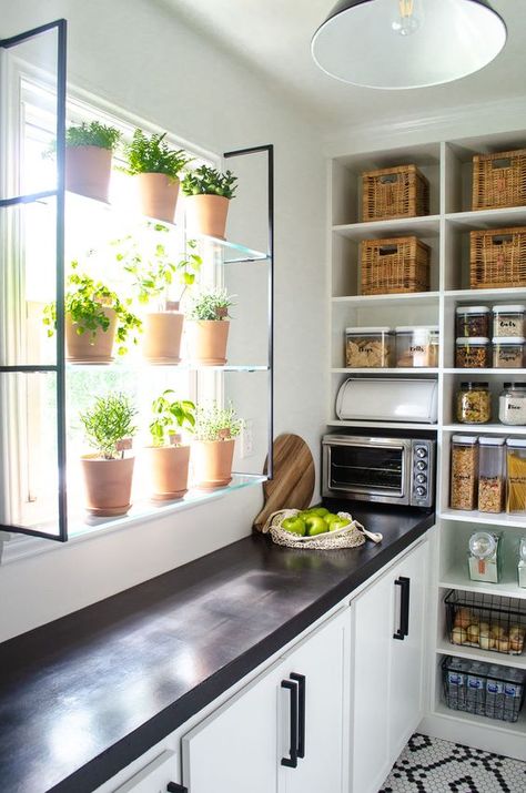 modern black and white pantry design with window and herbs, wicker baskets, black countertops, matte black hardware and white shaker cabinets Beautiful Pantry, Dream Pantry, House Pantry, Pantry Laundry, Pantry Room, Pantry Remodel, Diy Pantry, Kitchen Pantry Cabinets, Kitchen Pantry Design