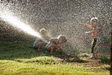 Children Playing In Water Sprinkler Lawn Sprinkler System, Water Sprinkler, Refreshing Water, Lawn Sprinklers, Kiddie Pool, Sprinklers, Water Wheel, Kids Running, Sprinkler System