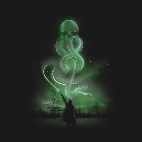 Harry Potter ⚯͛ Slytherin Wallpaper, Light Novel Online, Japanese Novels, Harry Potter Tshirt, Slytherin Pride, Evil Villains, Harry Potter Magic, Slytherin Aesthetic, Tom Riddle