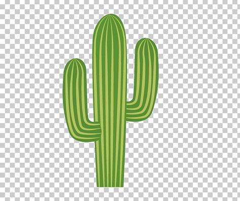 Cactus Pictures Art Prints, Cactus Vector Illustration, Clip Art Cactus, Cartoon Cactus Drawing, Cactus Cartoon, Cartoon Cactus, Cactus Images, Cactus Pictures, Cactus Png