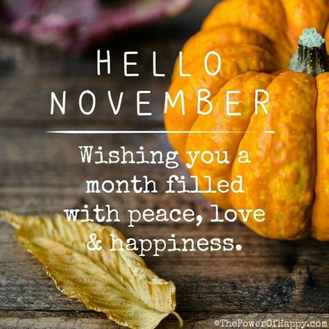 What does November mean for you? For me it's family time, Thanksgiving, pumpkin pie, falling leaves, and big fluffy comforters. :) Happy New Month Images, Happy New Month November, Happy New Month Messages, Happy New Month Quotes, November Images, New Month Wishes, Quotes Thanksgiving, New Month Quotes, August Quotes