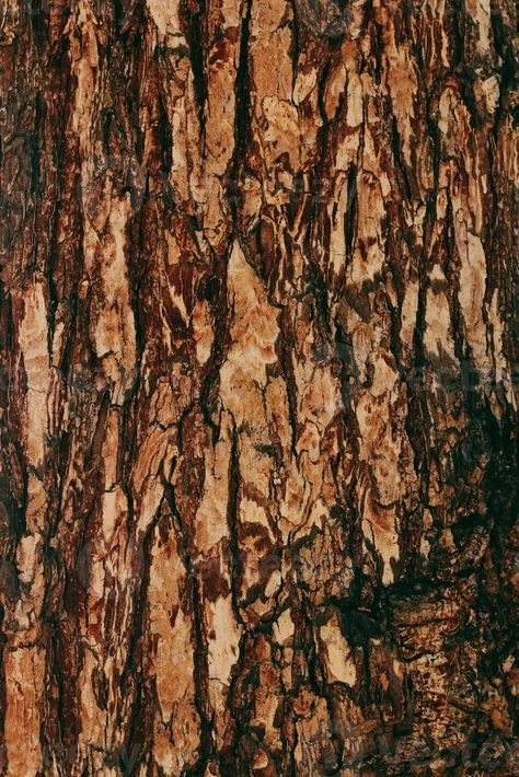 Maket Pasta, Bamboo Wallpaper, Tree Bark Texture, Forest Drawing, Wood Bark, Tree Textures, Hanging Tree, Store Interiors, Clay Wall Art