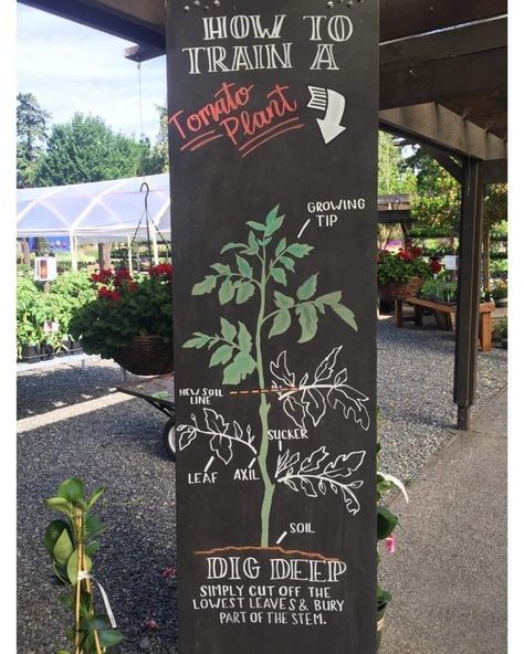 Flea Market Plant Booth, Plants For Sale Sign, Greenhouse Nursery Business, Garden Center Signage, Garden Booth Display Ideas, Community Garden Ideas Inspiration, Greenhouse Signs Ideas, Farmers Market Plant Display, Plant Sale Display