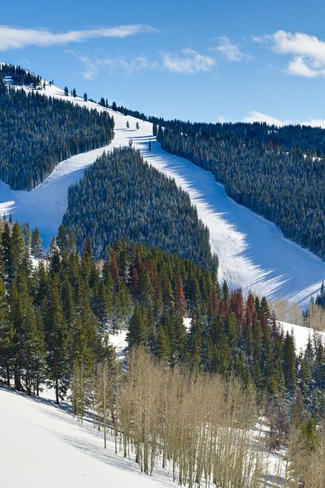 Top 10 Ski Resorts In Vail, Colorado Photography Mountains, Powder Skiing, Winter Skiing, Vail Colorado, Ski Resorts, White River, Steamboat Springs, Mountain Life, Steam Boats