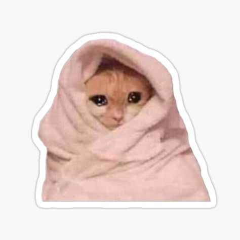 Crying cat in a blanket sticker on redbubble #cat #meme #catmeme Cat In A Blanket, Imessage Sticker, Meme Chat, Weird Stickers, Homemade Stickers, Cute Laptop Stickers, Wallpaper Stickers, Cat Meme, Meme Stickers