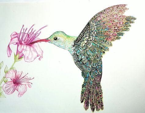 Hummingbird Doodle, Hummingbird Zentangle, Zentangle Doodle Art, Pencil Flowers, Hummingbird Illustration, Zentangle Doodle, Zen Doodle Patterns, Art Pencil, Zen Doodle