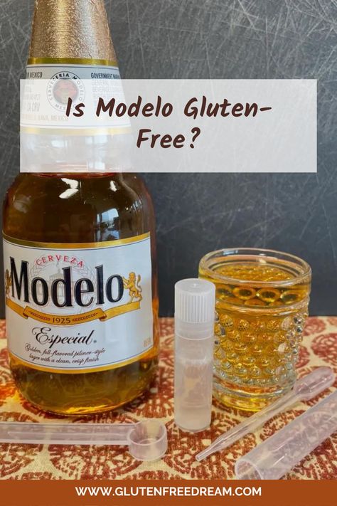 What Kind Of Drink Is Modelo Gluten Free? Peach Gluten Free, Crown Royal Peach, Modelo Beer, Gluten Free Beer, Free Beer, Malted Barley, Crown Royal, Beer Lovers, Barley