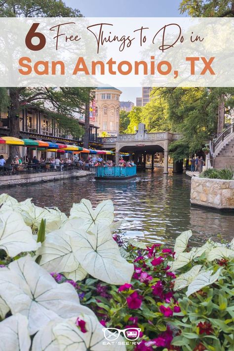 Traveling to San Antonio, TX but on a strict budget. Here are 6 fun and free things to do in San Antonio. Visit San Antonio, San Antonio Texas, Texas Travel, Free Things, Free Things To Do, San Antonio, Things To Do, Travel