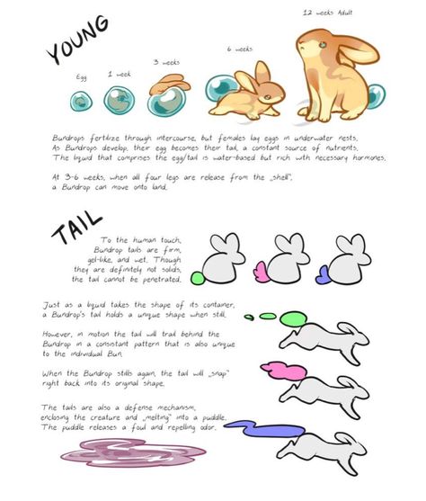 Original Species Reference Sheet, Magical Species, Griffsnuff Art, Species Sheet, Art Species, Open Species, Mythical Creatures Drawings, Original Species, Species Guide