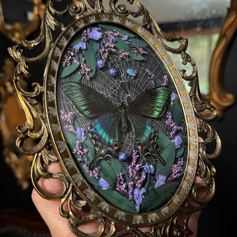 Something I made last week that I really love. Coming with me to @sevenfeatherstattooexpo ! It’s hard to find this size in the vintage frame (a little smaller than my regular sizes) and I wish I could find more 😅 Preserved orb weaver web, alpine black swallowtail (spring form), blue-violet chafer beetles, and dried florals in a vintage frame. Pinning Bugs, Butterfly Terrarium, Allerdale Hall, Framed Bugs, Oddity Art, Preserved Insect Art, Moth Frame, Taxidermy Butterfly Wall, Bug Taxidermy