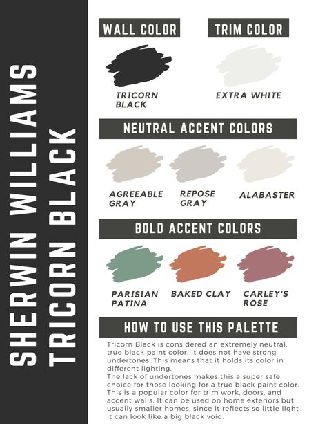 Sherwin Williams Tricorn Black paint color palette Charcoal Paint Color, Sherwin Williams Tricorn Black, Moody Paint, Tricorn Black, Black Paint Color, Black Accent Walls, Black Color Palette, House Color Palettes, Behr Paint