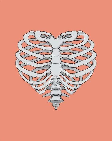 Rib Cage Art, Rib Cage Drawing, Heart Ribcage, Cage Art, Skeleton Drawings, Arte Grunge, Handpoke Tattoo, Goth Wallpaper, Heart Drawing