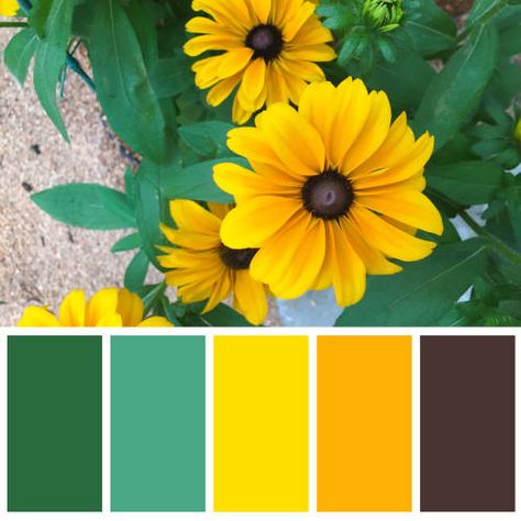 Yarn Color Combinations, Paint Color Inspiration, Gold Color Palettes, Yellow Colour Scheme, Color Schemes Colour Palettes, Color Palette Bright, Design Seeds, Color Palette Design, Color Balance