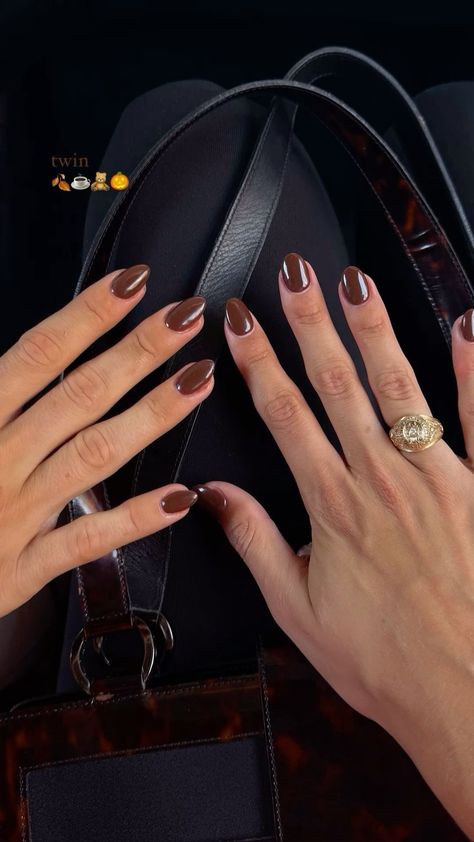 Chocolate brown pointed almond nailsPerfect for swater weather Nail Chocolate Color, Espresso Nails Almond, Dark Chocolate Nails Design, Dark Brown Nails Almond, Chocolate Brown Almond Nails, End Of November Nails, Birthday Nails November, Short Brown Almond Nails, Fall Brown Nail Colors