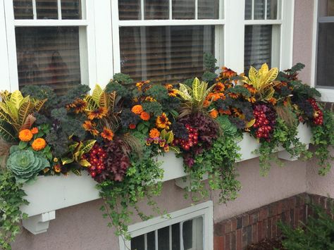 Fall Flower Boxes, Alice In Wonderland Door, Fall Window Boxes, Window Box Plants, Most Beautiful Homes, Window Box Garden, Fall Container Gardens, Fall Containers, Amazing Houses