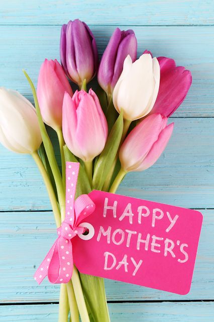 Fit and Fabulous: Mother's Day Gifts to Inspire Her Fitness Journey | Our Good Life Fit And Fabulous, Athlete Gifts, Work Friends, Travel Family, Diy Essential Oils, Flower Farm, Good Life, Mother Day Gifts, Fitness Journey