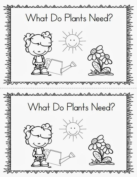 Plants Kindergarten, Plant Lessons, Plants Worksheets, Preschool Garden, Plants Unit, Plant Activities, Spring Kindergarten, Plant Crafts, Plant Book