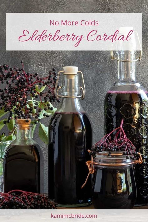 Cold Prevention Remedies, Elderberry Cordial, Elderberry Tea, Herbal Drink, Elderberry Juice, Cordial Recipe, Elderberry Recipes, Herbal Remedies Recipes, Fire Cider