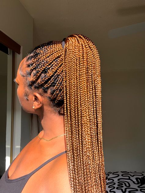 Small Knotless Box Braids Long Color 30, Knotless Box Braids Two Toned, Ginger Brown Knotless Box Braids, Knotless Light Brown Box Braids, Color 27/30 Knotless Braids, Brown Small Box Braids, Cute Box Braids With Color, Brown Small Knotless Box Braids, Knotless Braids 30 Color