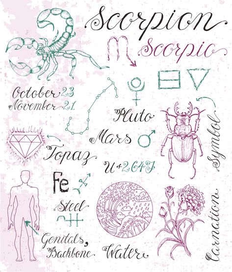 Zodiac Constellation Tattoo, Scorpio Sign Symbol, Scorpio Moon Sign, Scorpio Sun Sign, Scorpio Zodiac Tattoos, Astrology Art Print, Scorpio Symbol, Scorpio Art, Constellation Tattoo