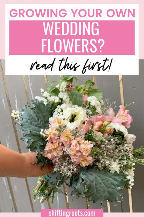 Planting Your Own Wedding Flowers, Plant Your Own Wedding Flowers, Grow Your Own Flowers For Wedding, Growing Own Wedding Flowers, Home Grown Wedding Flowers, Grow Flowers For Wedding, Grow Wedding Flowers, March Wedding Flowers In Season, Wedding Flowers July