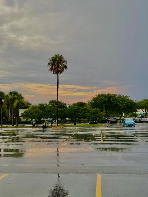 summer, florida, sunset, aesthetic, parking lot, palm trees Small Town Florida Aesthetic, Rural Florida Aesthetic, Central Florida Aesthetic, Trashy Florida Aesthetic, Florida Everglades Aesthetic, Dark Florida Aesthetic, Florida Gothic Aesthetic, Florida Core Aesthetic, Ponte Vedra Beach Florida