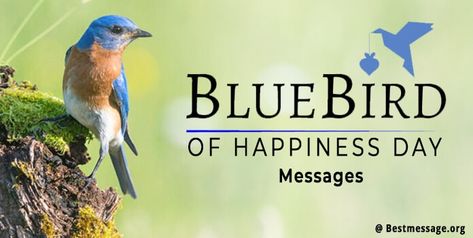 Bluebird of Happiness Day Bluebird Quotes, Happiness Day, Bluebird Of Happiness, Messages Quotes, Happiness Quotes, Wishes Messages, Day Wishes, Bluebird, Happy Quotes