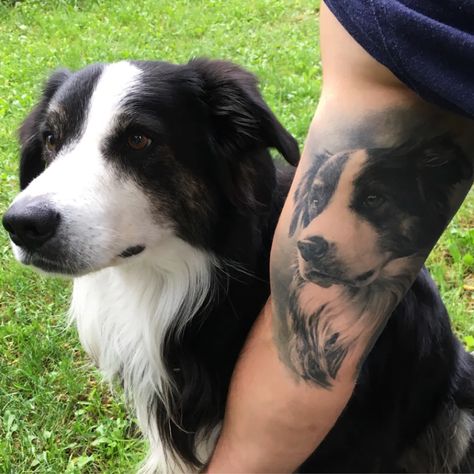 Collie Tattoo, Animal Tatoos, Dog Pawprint Tattoo, Pet Memorial Tattoo, Memorial Tattoos Small, Dog Portrait Tattoo, Puppy Tattoo, Small Dog Tattoos, Dog Print Tattoo