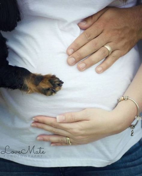 Baby Bump Photos, Photos With Dog, Maternity Photoshoot Poses, Bump Photos, Maternity Photography Poses, Foto Tips, Foto Baby, Maternity Poses, Maternity Photoshoot