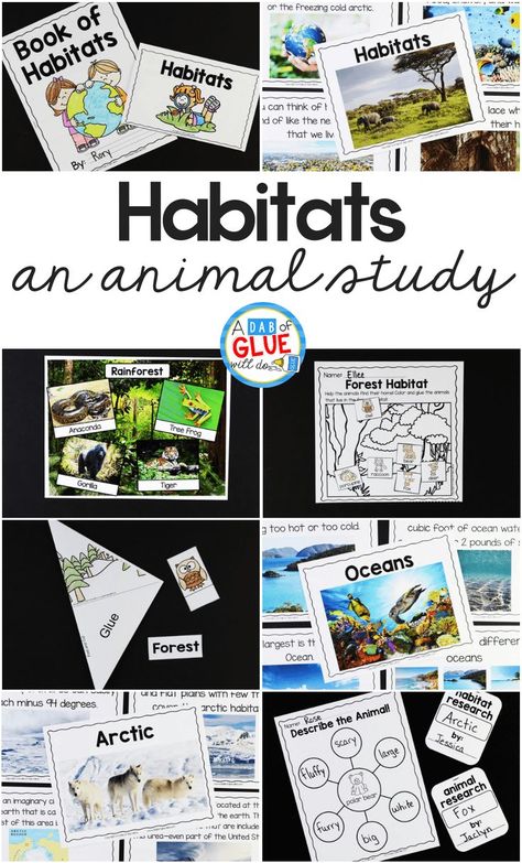 I've created this Animal Habitats Science Unit so our students can learn and research about 7 different animal habitats in a hands-on way. Animal Habitats 1st Grade, 1st Grade Animal Habitat Project, Animal Habitats Activities For Kids, Habitat Projects For Kids, Animal Habitat Activities, Habitats Activities, Homeschool Units, Habitat Activities, Science Unit Studies