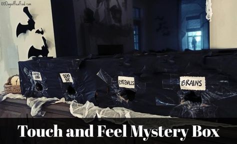 Mystery Feel Box Halloween, Halloween Mystery Touch And Feel Game, Halloween Touch And Feel Boxes, Halloween Feel Box Ideas, Halloween Mystery Box Ideas, Haunted Classroom, Haunted Hallway, Mystery Box Ideas, Zombie Halloween Party