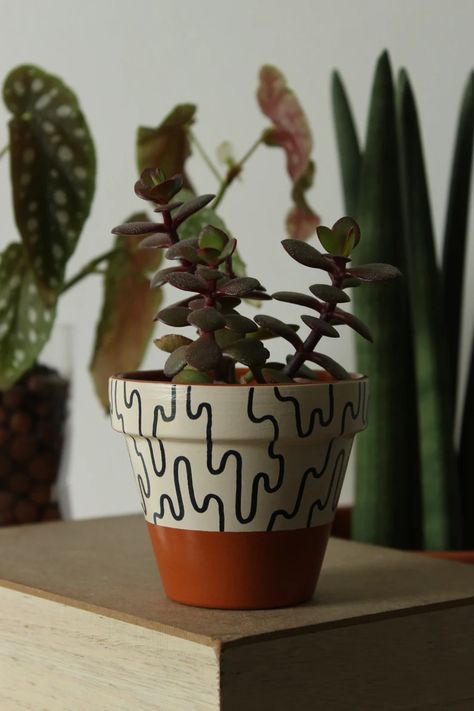 Hand Painted Terracotta Plant Pot for Houseplants - Etsy Terracotta Pot Design Ideas, Pots Diy, Plant Pot Design, Diy Pottery Painting, Flower Pot Art, Painted Terracotta, Painted Pots Diy, Flower Pot Design, Painted Plant Pots