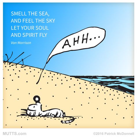 “Ahh... summer days #relaxing #MUTTS #beach” Quotes About Sea, Muppets Characters, Mutts Comics, Van Morrison, Hiking Quotes, Cat Comics, Ocean Themes, Cute Animal Drawings, Animal Quotes