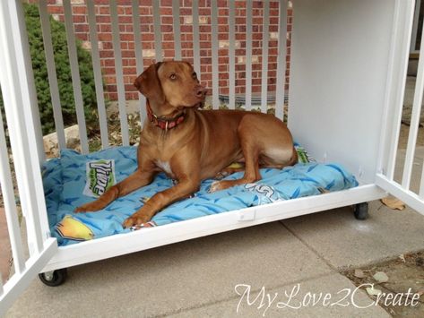 Turn an old Crib into an awesome Dog Crate, MyLove2Create Baby Crib Dog Bed, Diy Dog Beds, Metal Dog Kennel, Old Cribs, Diy Dog Crate, Diy Dog Kennel, Diy Crib, Large Dog Crate, Diy Dog Bed