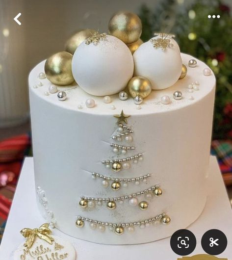 Modern Christmas Cake, Christmas Cake Decorating Ideas, Christmas Cake Decorating, Easy Christmas Cake Recipe, Tårta Design, Winter Torte, Christmas Cakes Easy, Christmas Themed Cake, Christmas Cake Designs