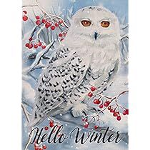 Winter Flags, Home Outside, Pumpkin Garden, Garden Owl, Snow House, Winter Owl, Farmhouse Outdoor Decor, Welcome Winter, Christmas Flag