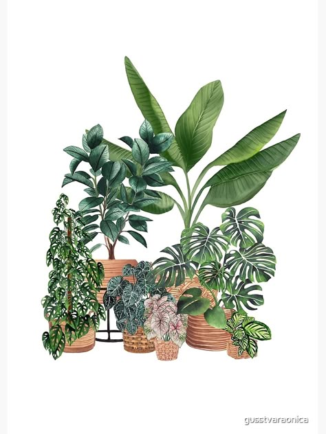 Plants Illustration, Plant Installation, Plant Art Print, Hawaiian Art, Buy House, Flowery Wallpaper, Plant Aesthetic, Plant Painting, Plant Drawing