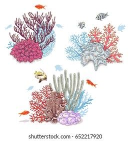 Hand drawn underwater natural elements. Sketch of vivid reef corals and swimming fishes isolated on white background. Coral Reef Drawing, Coral Tattoo, Underwater Drawing, Underwater Painting, Sea Plants, Coral Art, Plant Drawing, Arte Inspo, Natural Elements