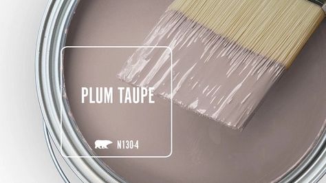 Farmhouse Purple Paint Colors, Behr Paint Furniture, Perfect Taupe Behr Living Rooms, Plum Taupe Behr, Purple Taupe Paint Colors, Mauve Purple Paint Colors, Brownish Purple Paint, Blush Taupe Paint, Taupe Pink Paint Colors