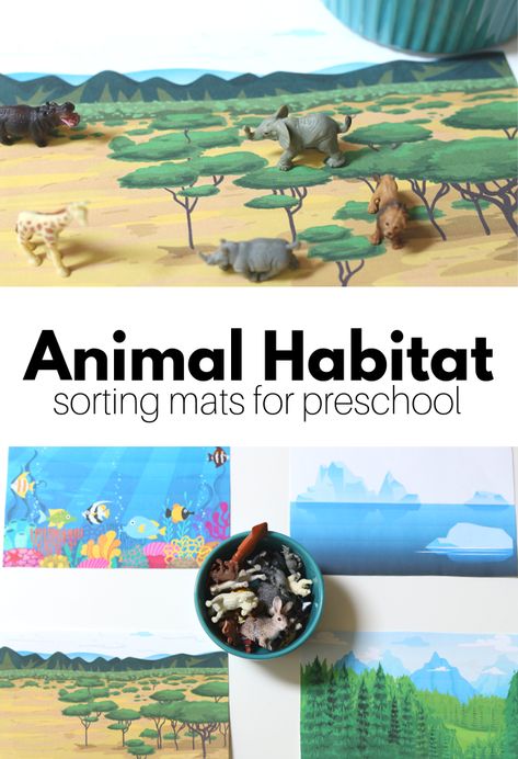 Animal Habitats Sorting Mats: Where do animals live? This habitat activity for preschool is a fun way to talk to your students about where animals live. You can use these free printables as mats at a science center or on a magnet board. Habitats Activities, Habitats Preschool, Animal Habitats Preschool, Where Animals Live, Aba Materials, Preschool Camping, Habitat Activities, Easter Activities For Preschool, Preschool Ocean