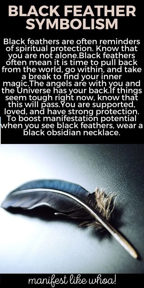 Meaning Of Black Feather, Finding A Black Feather Meaning, Manifesting Spells, Manifest Protection, Black Feather Meaning, Feather Color Meaning, Color Magick, Feather Magic, Feather Symbolism