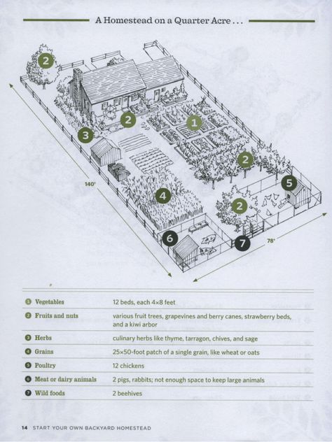 This is a link to a pdf for homestead on 1/2 acre.  Pretty cool idea! Backyard Homestead, Homestead Layout, Acre Homestead, Farm Plans, Homestead Farm, Farm Layout, Homestead Gardens, Future Farms, Urban Homesteading