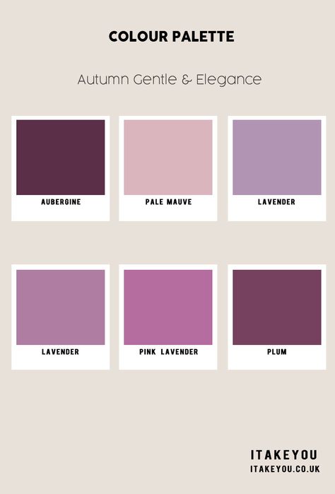 soft purple color scheme, Autumn Colour Scheme, Autumn Colour Trends 2023, Fall Color Palette, autumn colours, Autumn Colours 2023, soft autumn colour palette Aubergine Outfit Color Combos, Autumn Brand Color Palette, Soft Autumn Purple, Fall Colour Palette, Colours 2023, Colour Scheme Ideas, Palette Autumn, Feminine Things, Lavender Shades