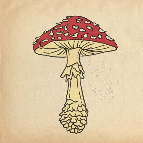 This is a textured 2-tone mushroom design with a red cap, white spots and a white/yellow stipe. Fly Agaric Tattoo, Amanita Muscaria Tattoo, Amanita Tattoo, Amanita Muscaria, Fly Agaric, Traditional Tattoo Art, Traditional Tattoo, Tattoo Art, Art Tattoo