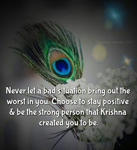 Krishna Quotes In Hindi, Krishna Leela, Radhe Krishna Wallpapers, Krishna Mantra, Radha Krishna Quotes, Krishna Book, Radha Krishna Love Quotes, Krishna Songs, Jai Shree Krishna